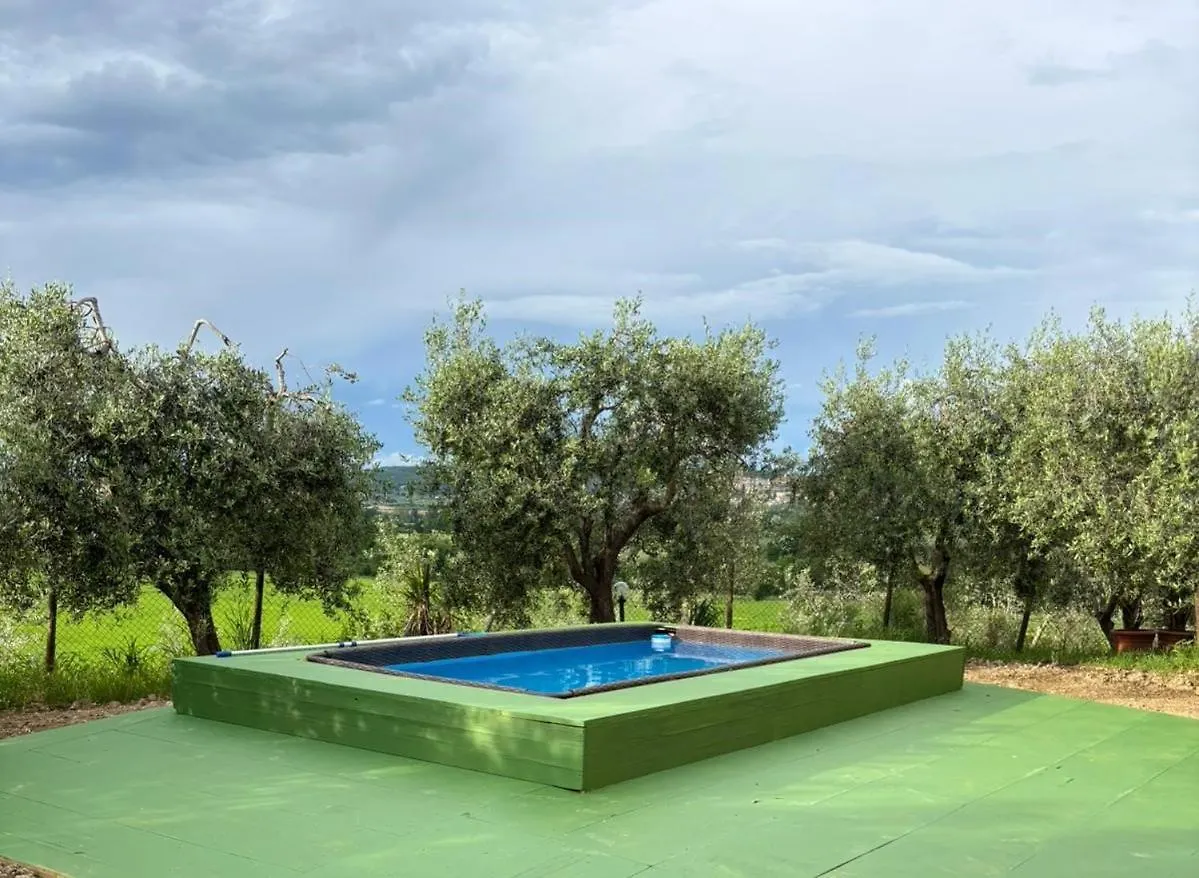 Hotel La Torre Di Viepri Asciano Italia