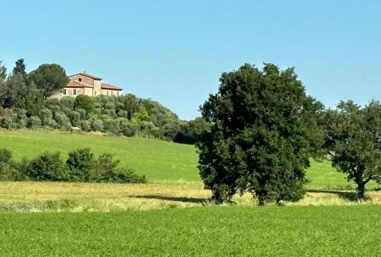 게스트하우스 La Torre Di Viepri 호텔 아시아노