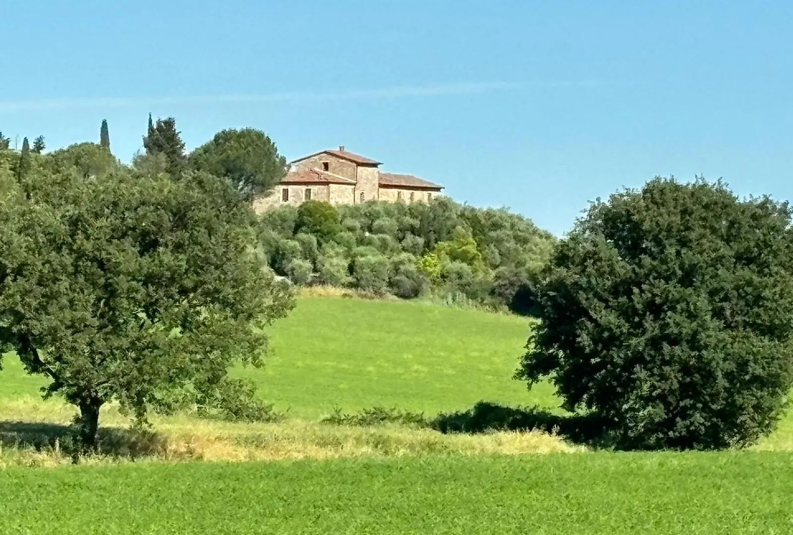 La Torre Di Viepri 호텔 아시아노